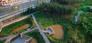 Luftaufnahme eines begrünten Regenparks mit Teichen und Fußwegen