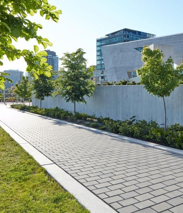 Heller Pflasterweg mit Bäumen, Grünflächen und moderner Stadtarchitektur