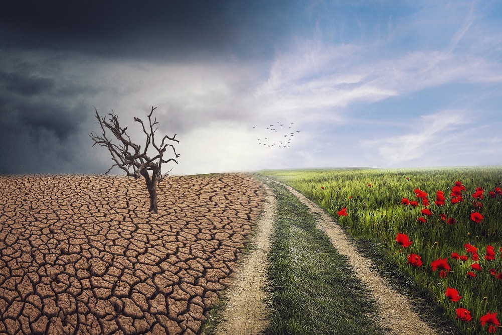 Klimawandel – die Ursachen und Auswirkungen
